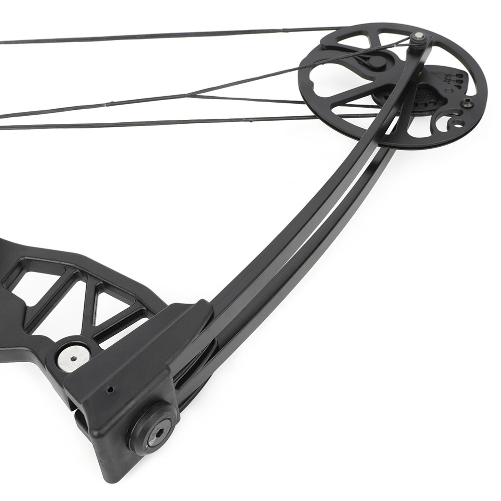 Entry-Level Compound Bow Set 38–70lbs Adjustable Black