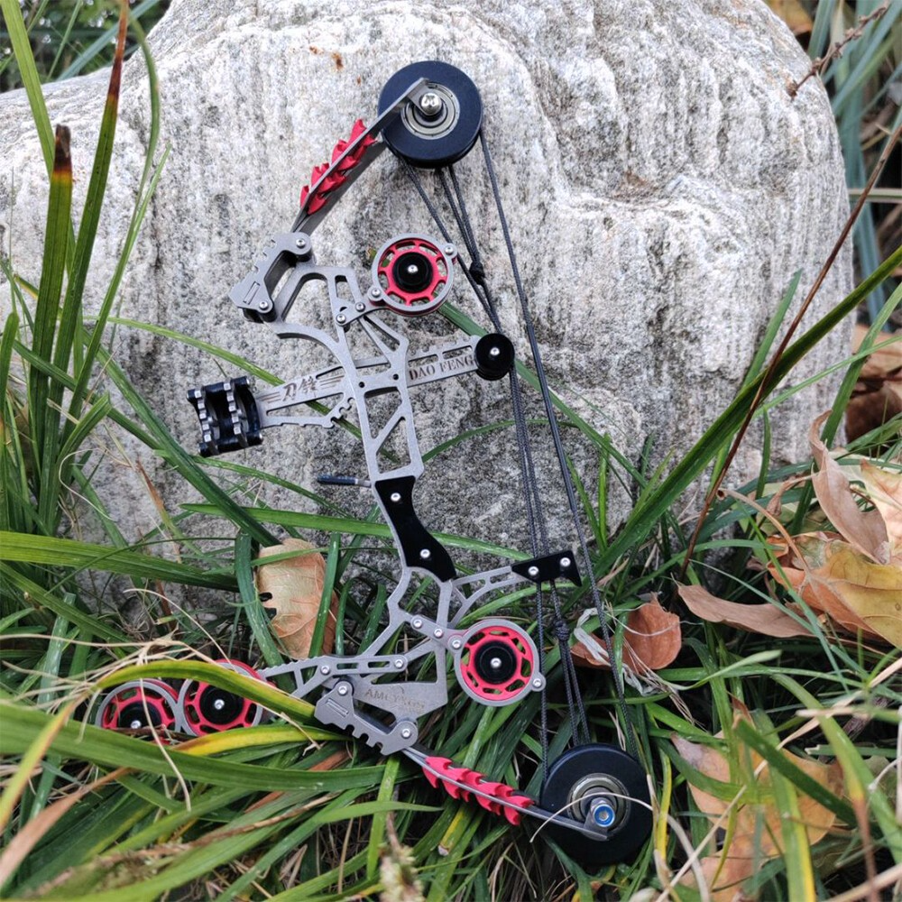 Mini Compound Bow Kit 10lbs with 8 Arrows