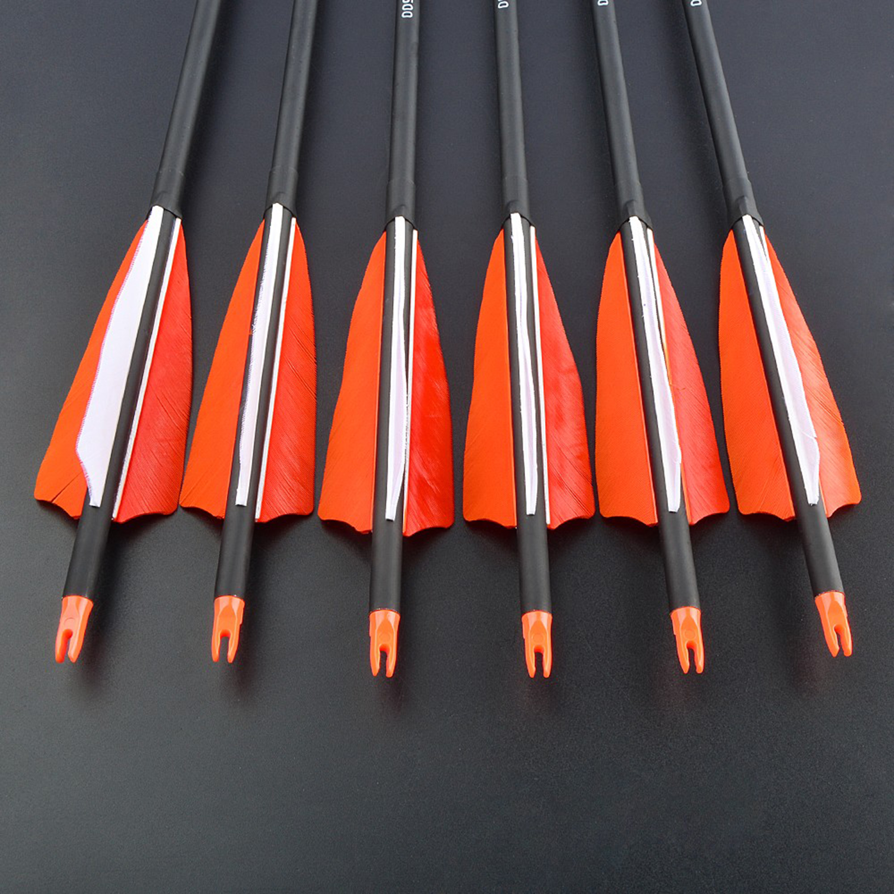 12pcs Carbon Arrows with 4-inch Feather Fletching