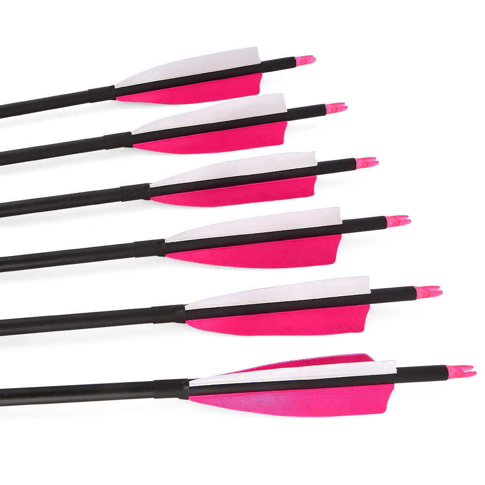 12pcs Carbon Arrows with 4-inch Feather Fletching