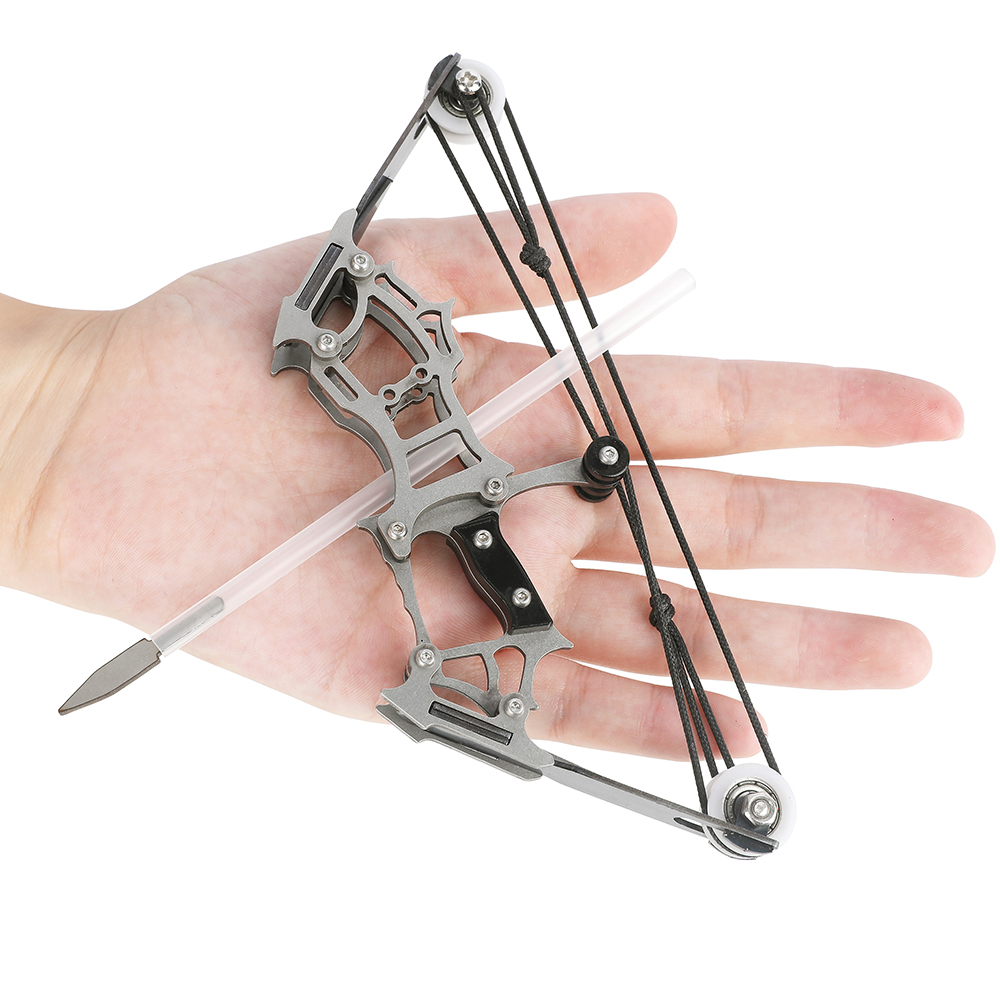 Mini Stainless Steel Compound Bow Set with 12 Arrows & Target