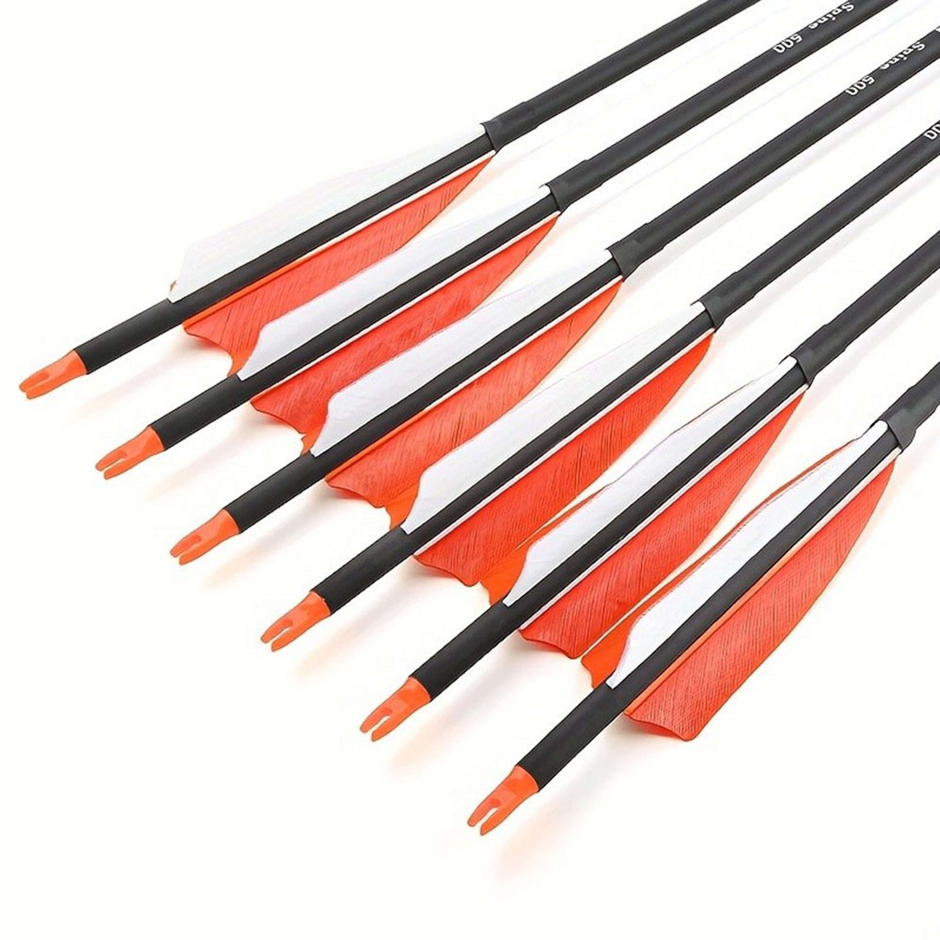 12pcs Carbon Arrows with 4-inch Feather Fletching