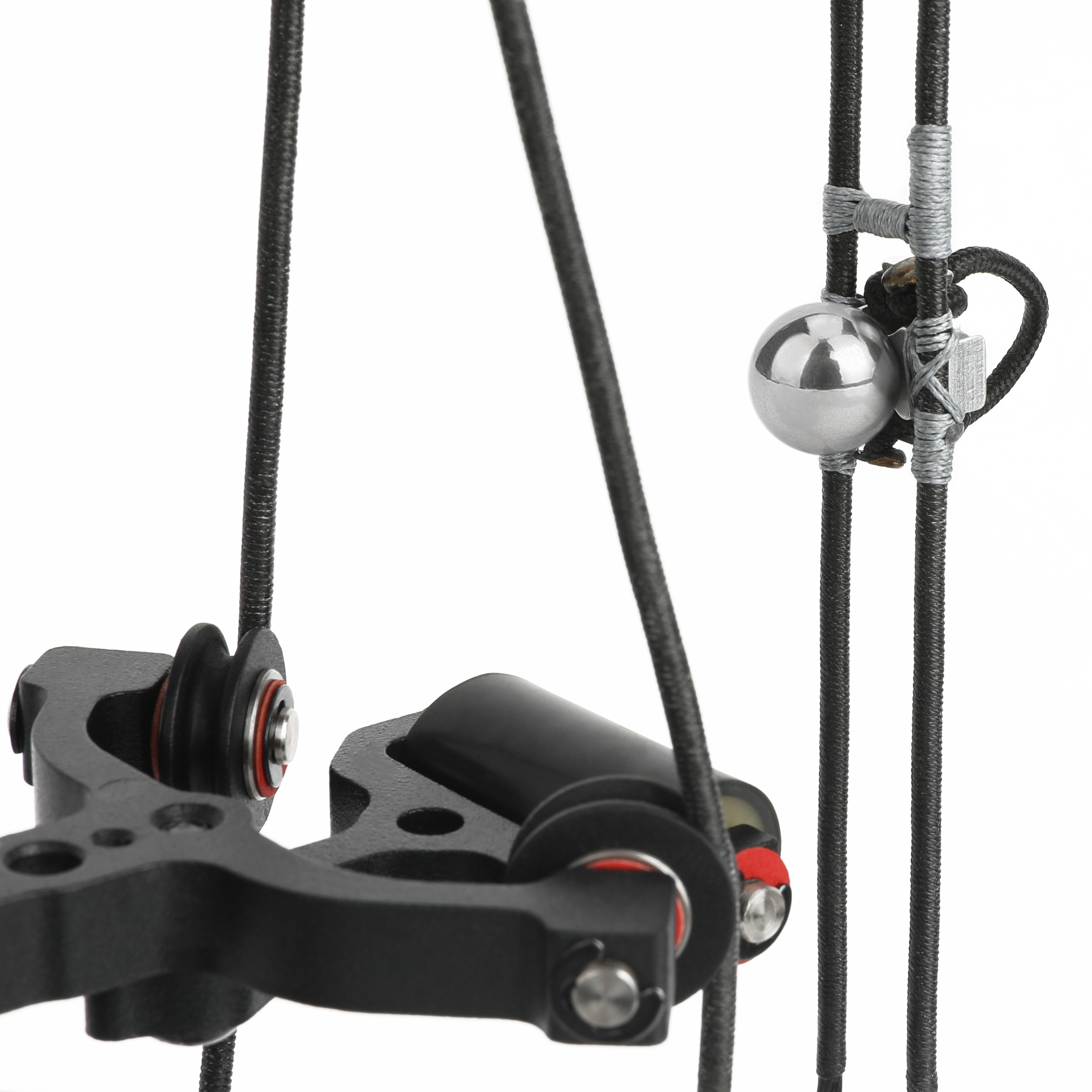 SHARROW Dual-Purpose Compound Bow 30-70lbs Archery Shooting