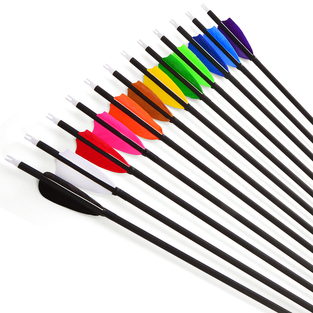 Archery Carbon Arrows 12pcs 30inch 500 Spine for Hunting