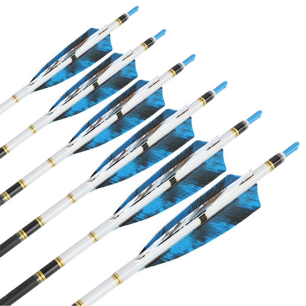 12pcs 31" Archery Pure Carbon Arrows SP250-600 4" Natural Feathers Bow Hunting Target