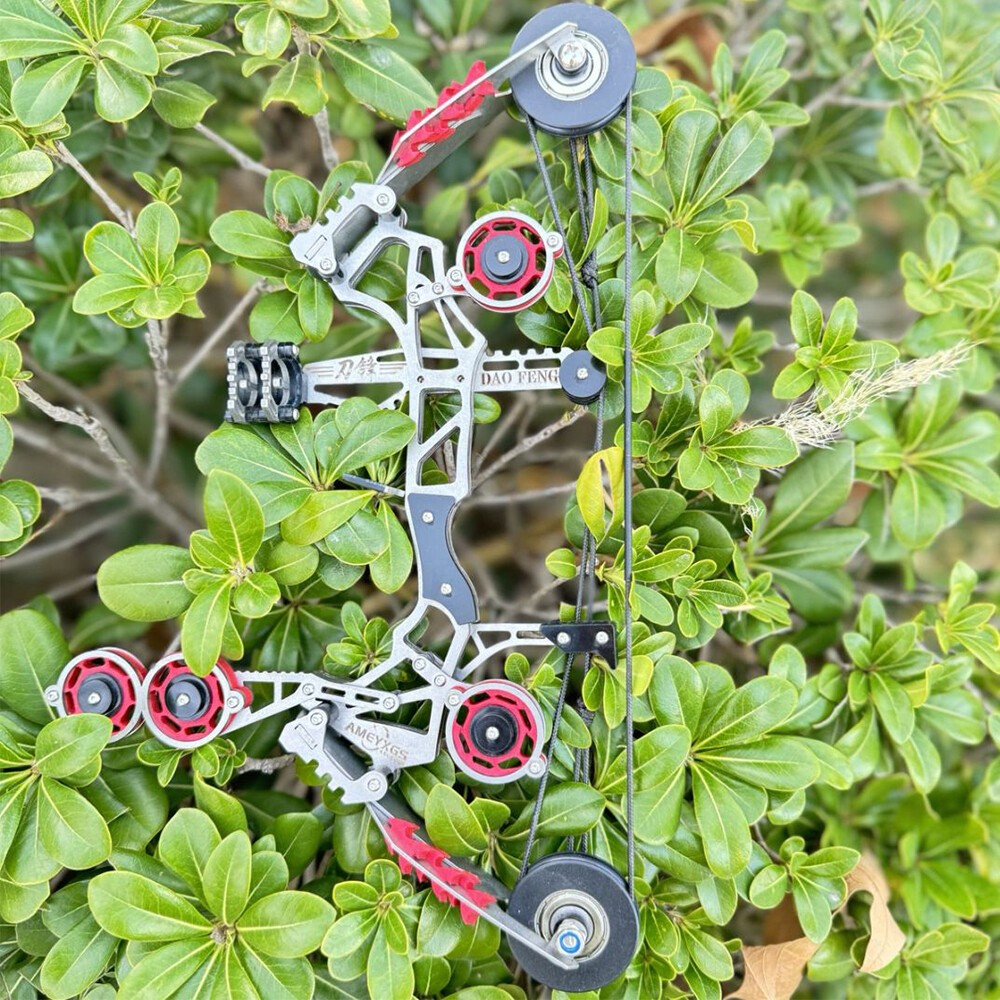 Mini Compound Bow Kit 10lbs with 8 Arrows