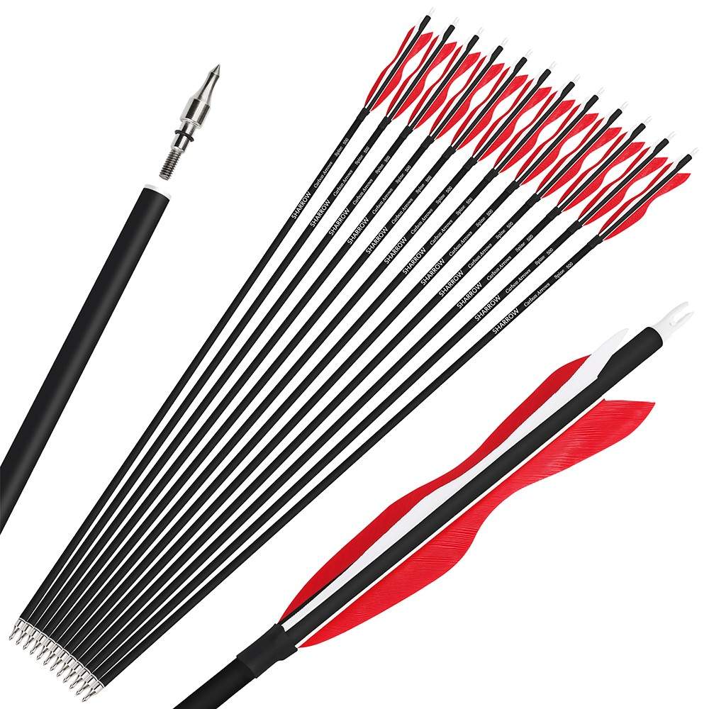 12pcs Archery Carbon Arrows 30" Spine 500 for Recurve & Compound