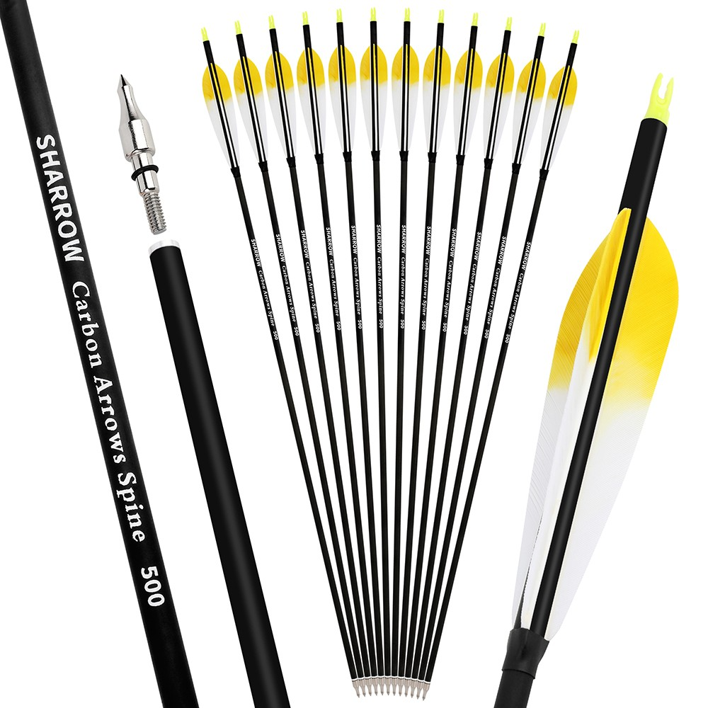 6pcs Archery Carbon Arrows Spine 500 with 5" Turkey Feathers