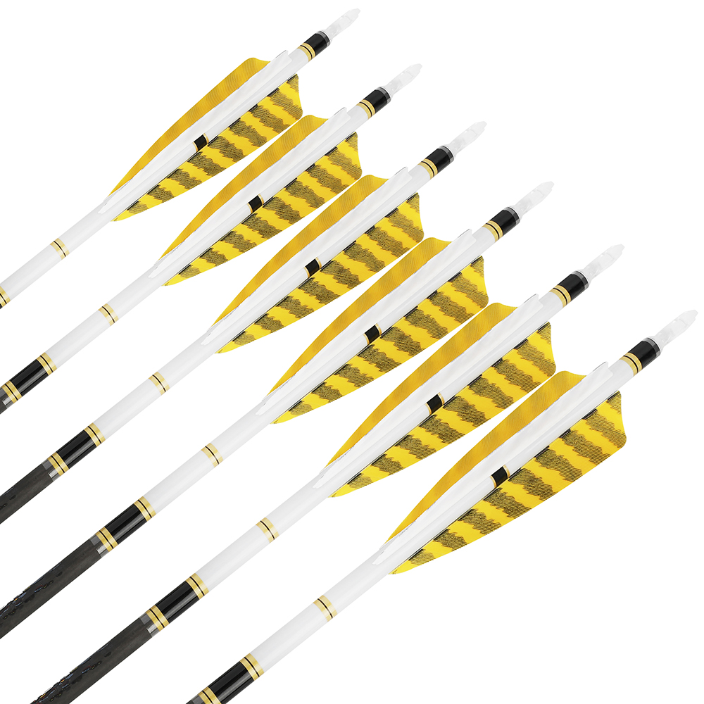 12pcs Pure Carbon Arrows Spine 250-600 Hunting & Shooting
