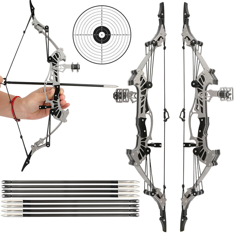 16" Mini Compound Bow Kit 16lbs Archery Gift Arrows Target Shooting Game Bow