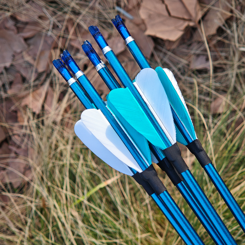 Pure Carbon Blue Arrows 31" 400–1000 Spine Real Feather 6pcs 12pcs