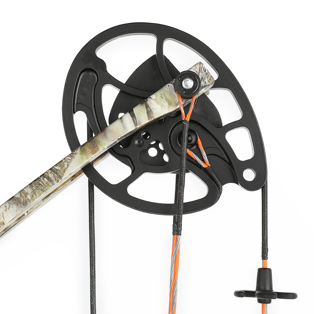 Compound Bow 0-70lbs Archery Set Target Hunting RH
