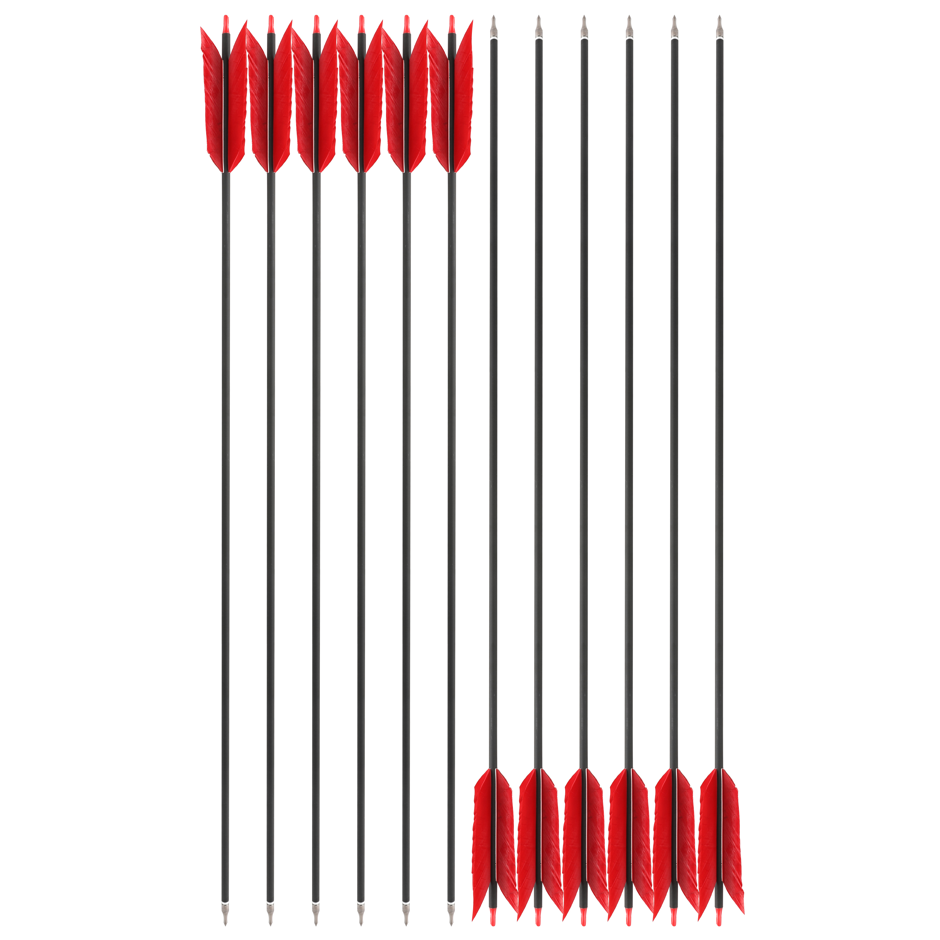 12pcs 30" Carbon Arrows 4"  Feather SP500 Bow Hunt Archery Shoot Target