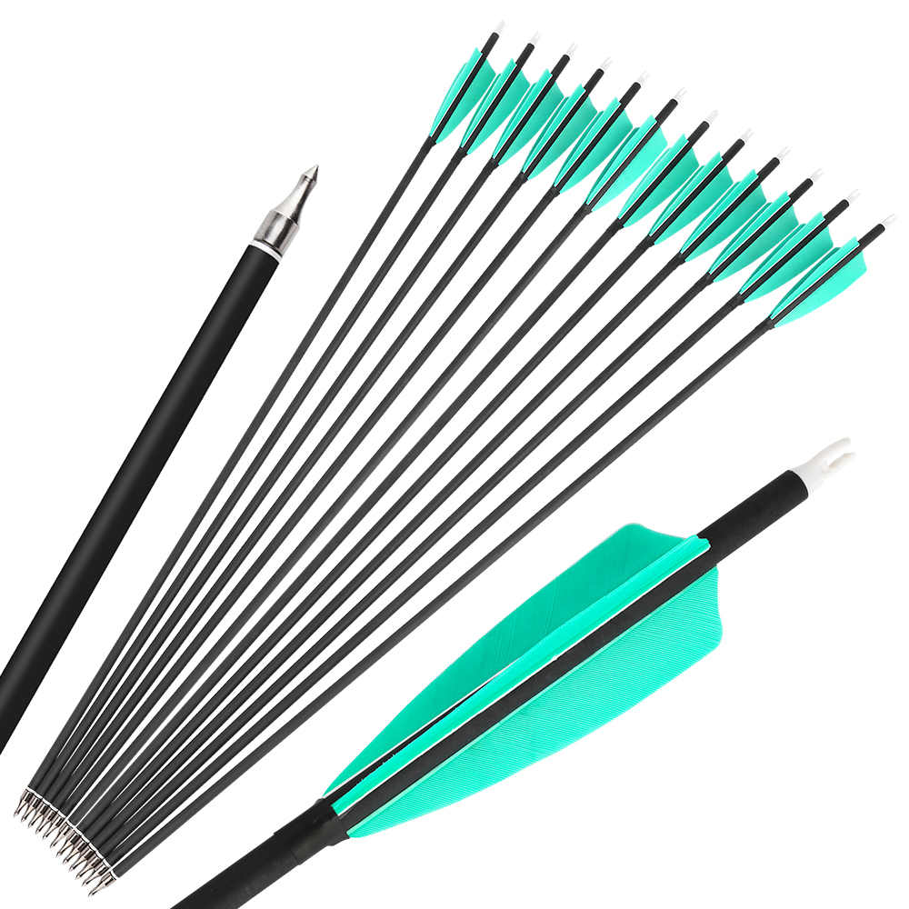 500F 30" Aqua/White Feather Carbon Arrows 12pcs 100gr