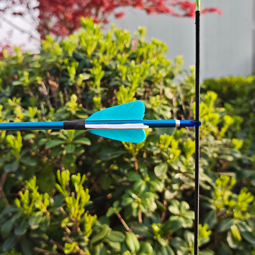 Pure Carbon Blue Arrows 31" 400–1000 Spine Real Feather 6pcs 12pcs