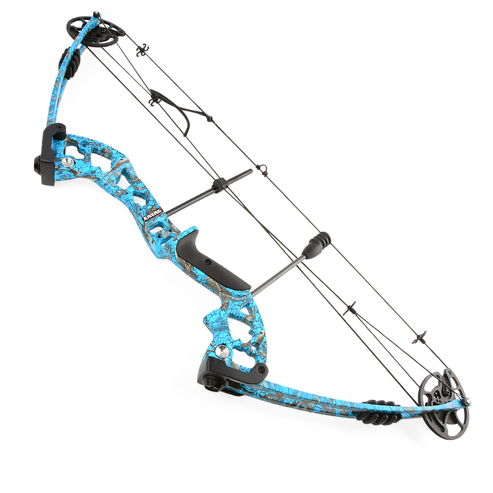 Blue Adjustable Compound Bow 30-55lbs 310fps Aluminum Alloy Hunting Bow