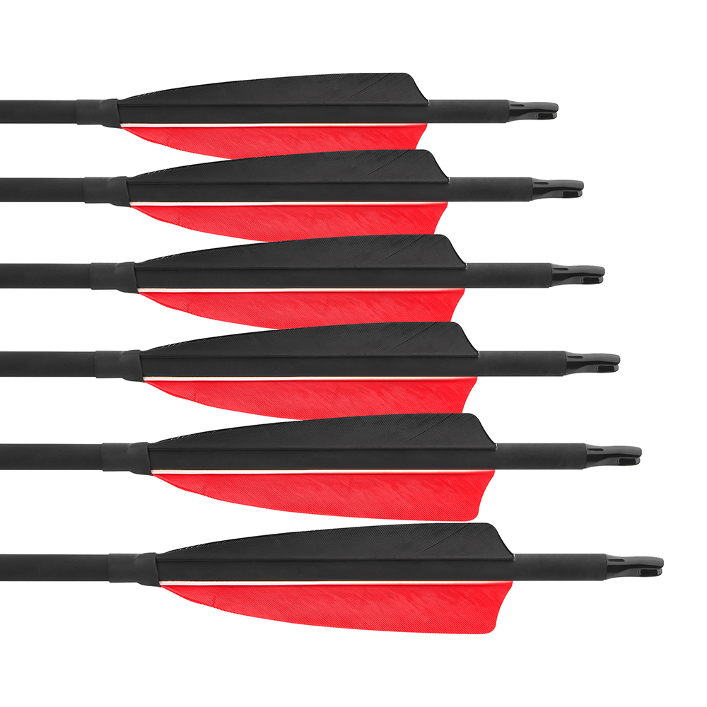 500 Spine Red-Black Feather Carbon Arrows – 12pcs