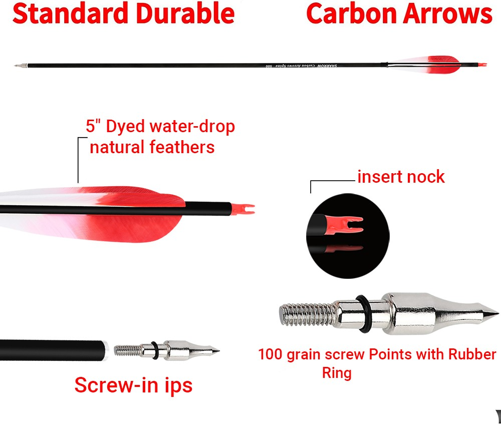 6pcs Archery Carbon Arrows Spine 500 with 5" Turkey Feathers