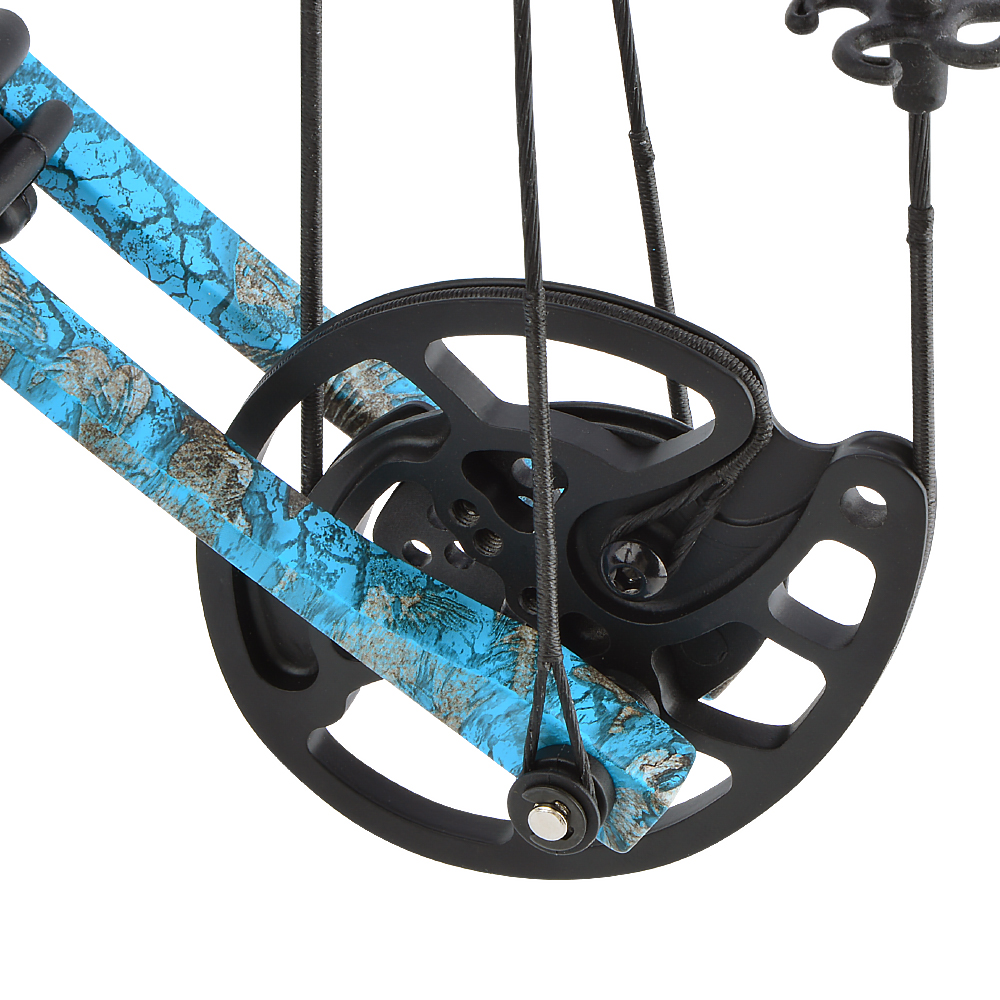 Blue Adjustable Compound Bow 30-55lbs 310fps Aluminum Alloy Hunting Bow