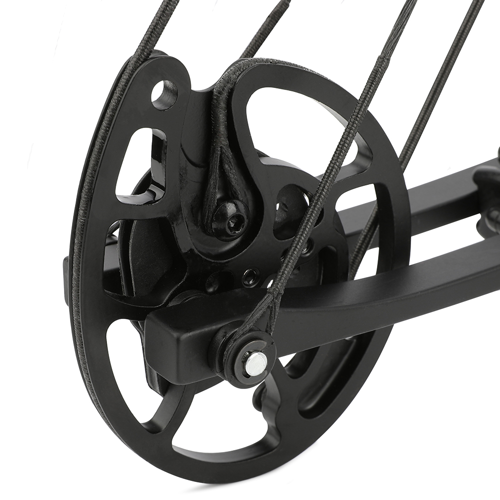 JUNXING Compound Bow Kit, Adjustable 30-55lbs, 310 FPS