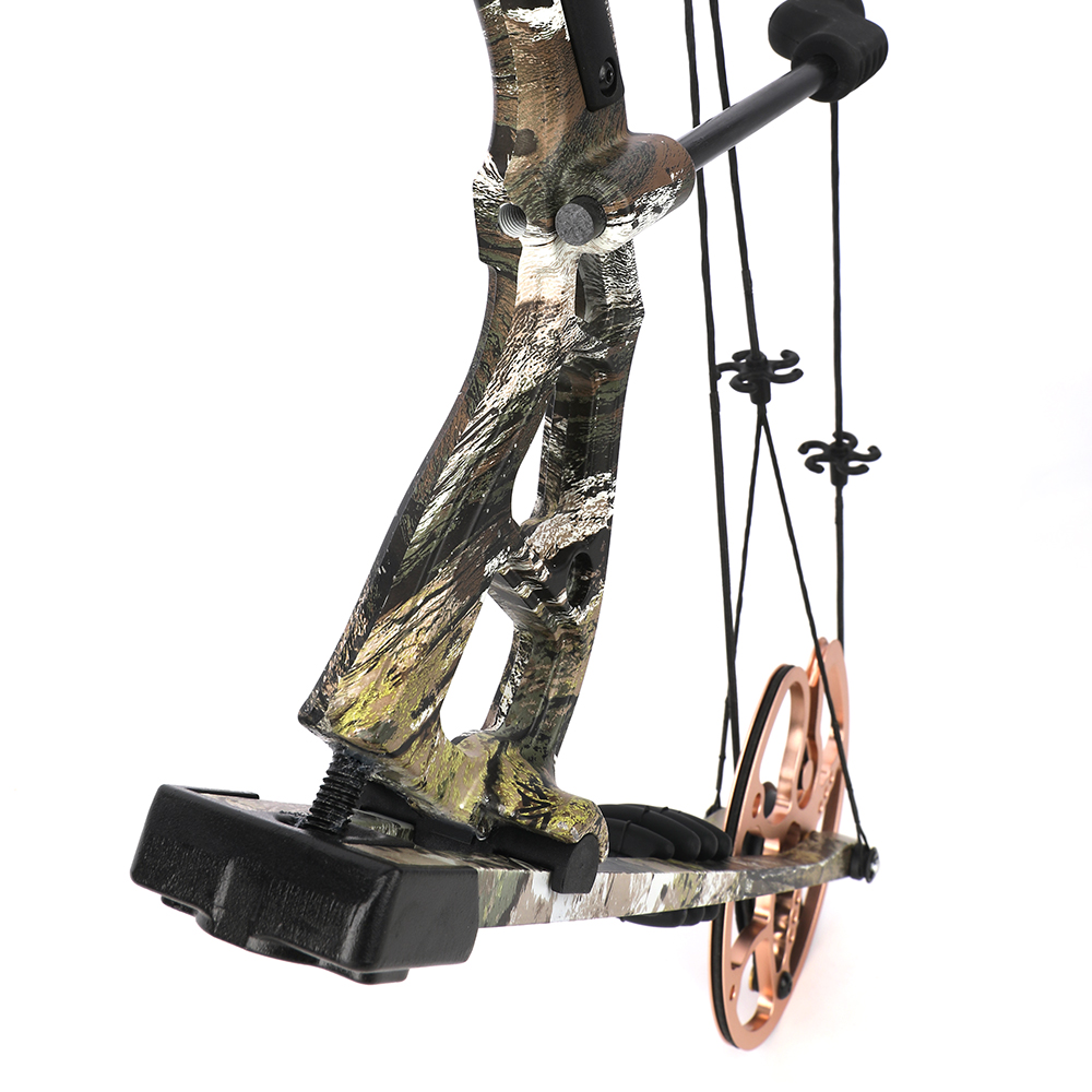 0-70lbs Archery Compound Bow Set Target Hunting