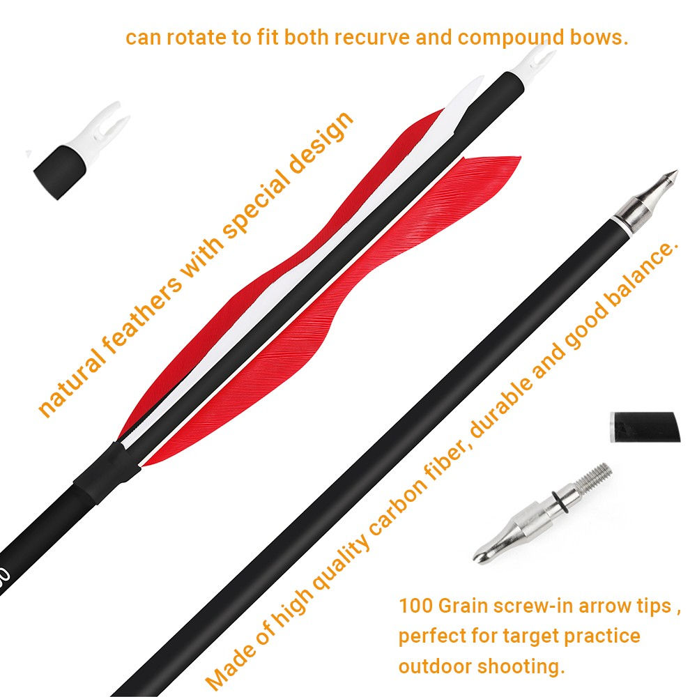 12pcs Archery Carbon Arrows 30" Spine 500 for Recurve & Compound