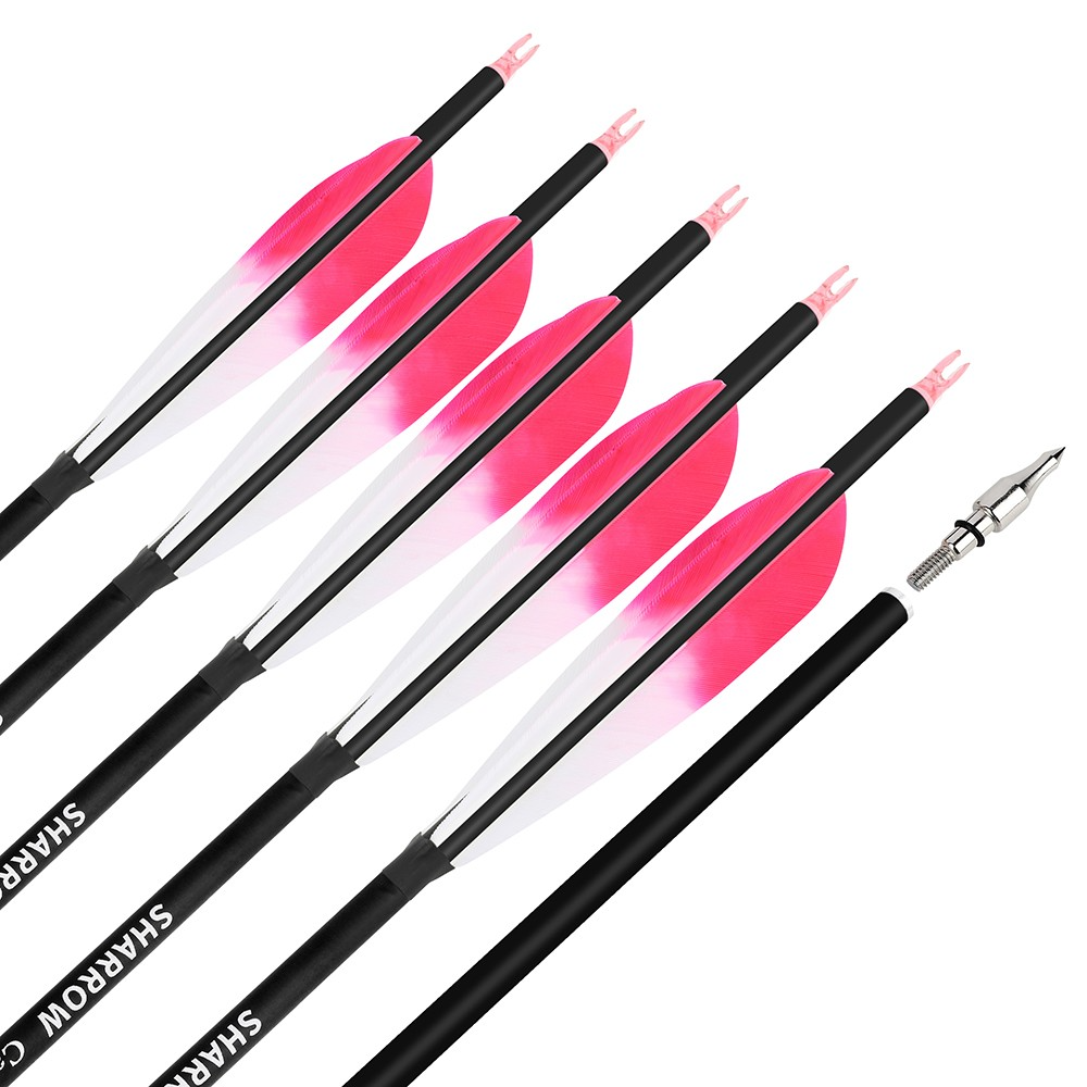 6pcs Archery Carbon Arrows Spine 500 with 5" Turkey Feathers