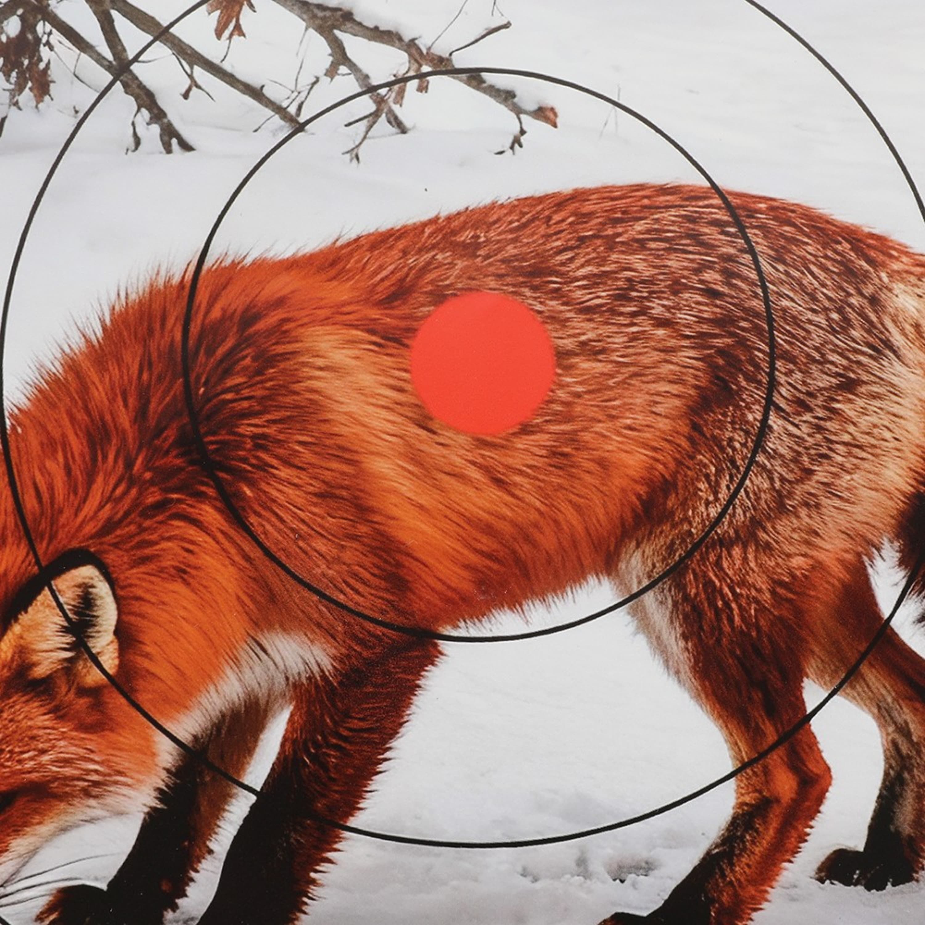 40x40cm Archery Target Paper Face Animal Arrow Bow Shooting 