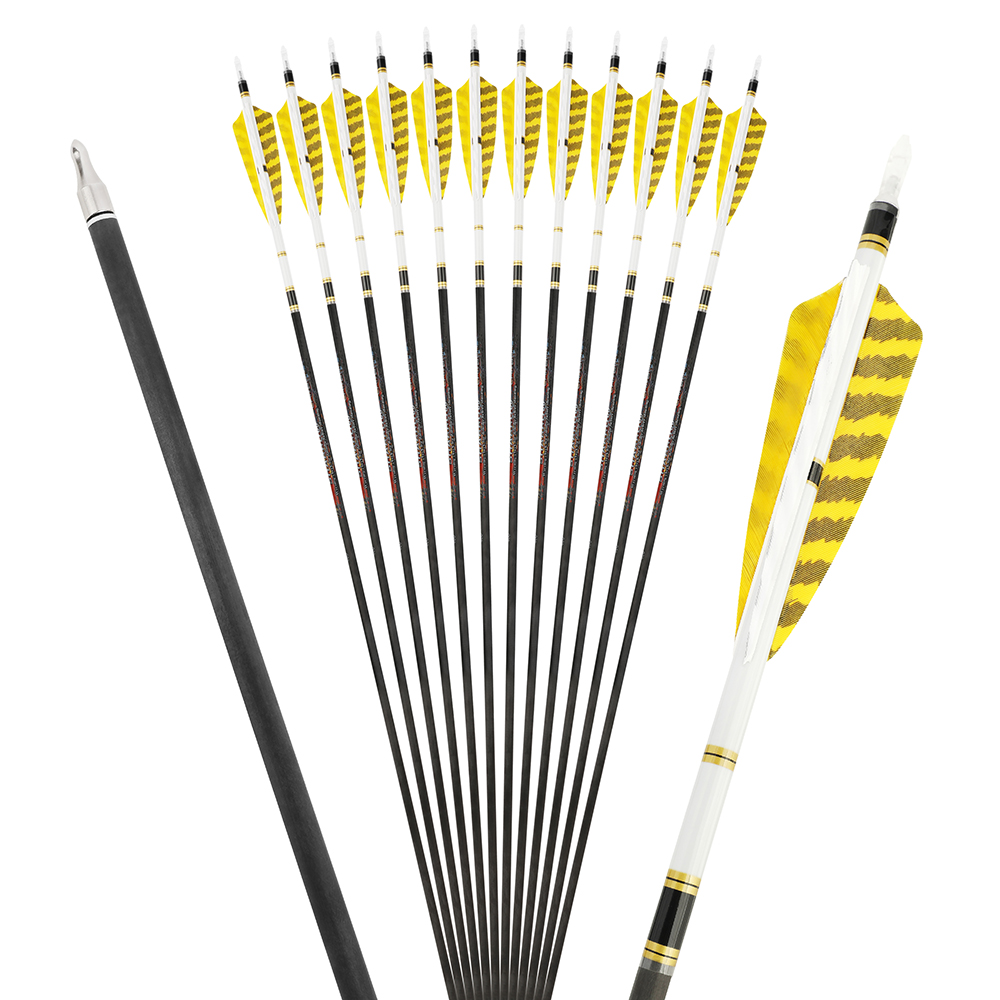 12pcs Pure Carbon Arrows Spine 250-600 Hunting & Shooting
