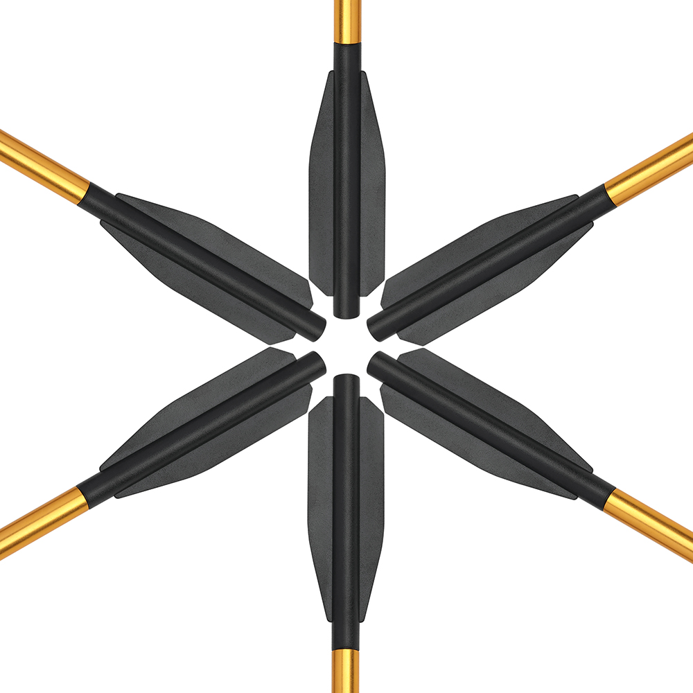 Mini Aluminum Blade Arrows 6pcs – Gold/Black