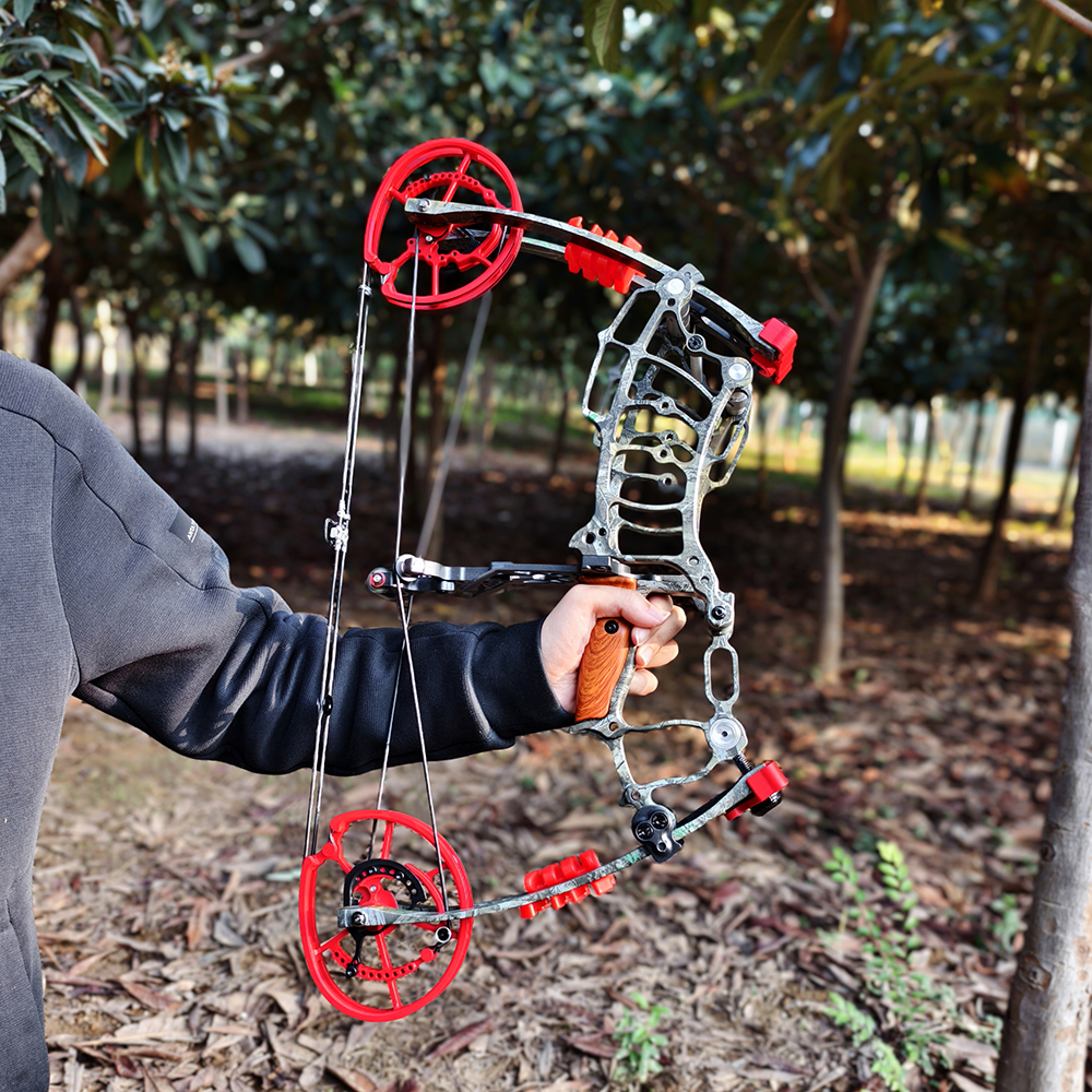  Dual Purpose Compound Bow 30-70lbs 420FPS Steel Ball Shooting