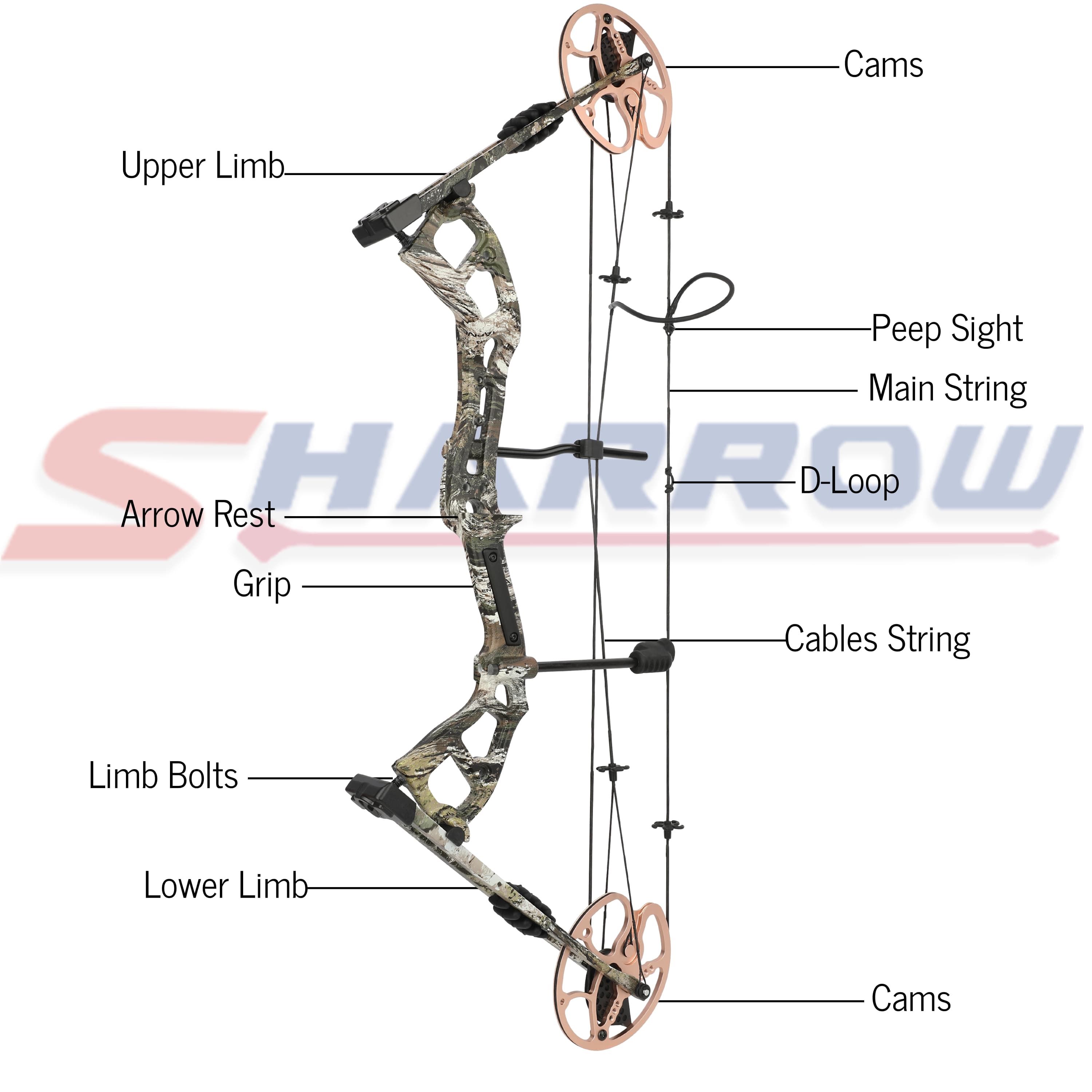 0-70lbs Archery Compound Bow Set Target Hunting