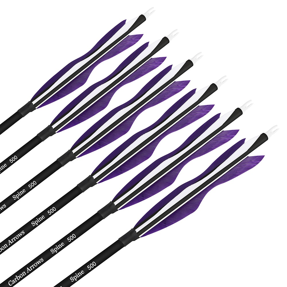12pcs Archery Carbon Arrows 30" Spine 500 for Recurve & Compound
