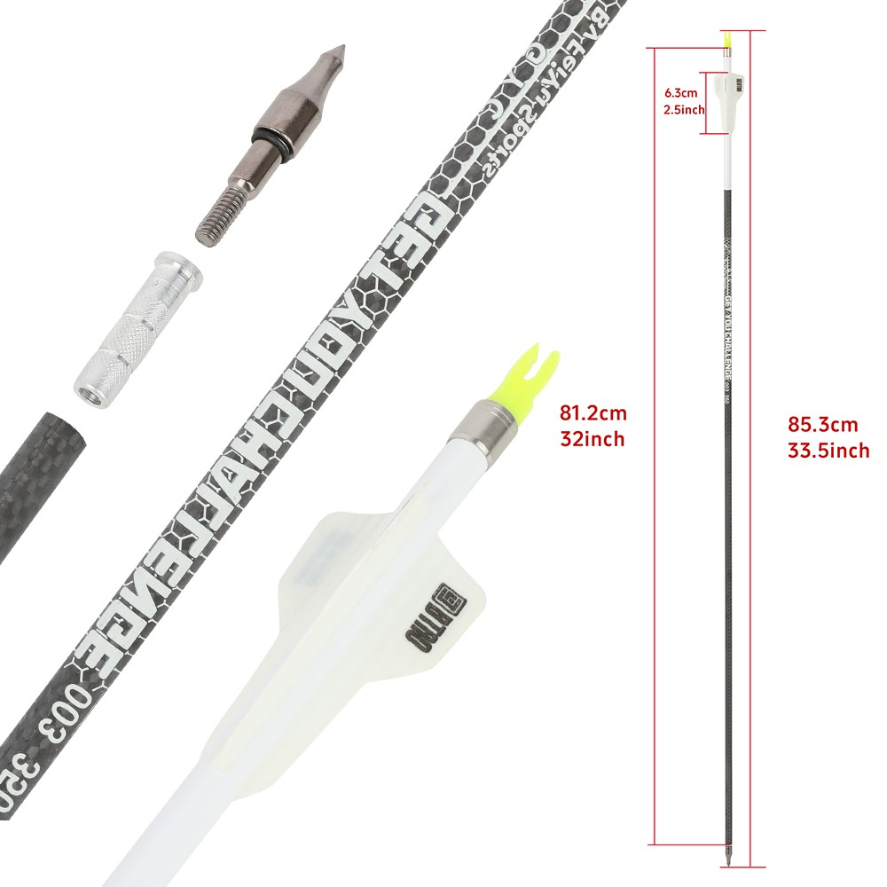 Carbon Arrows Spine 250-400 32" 100gr Screw-In Points 12-Pack