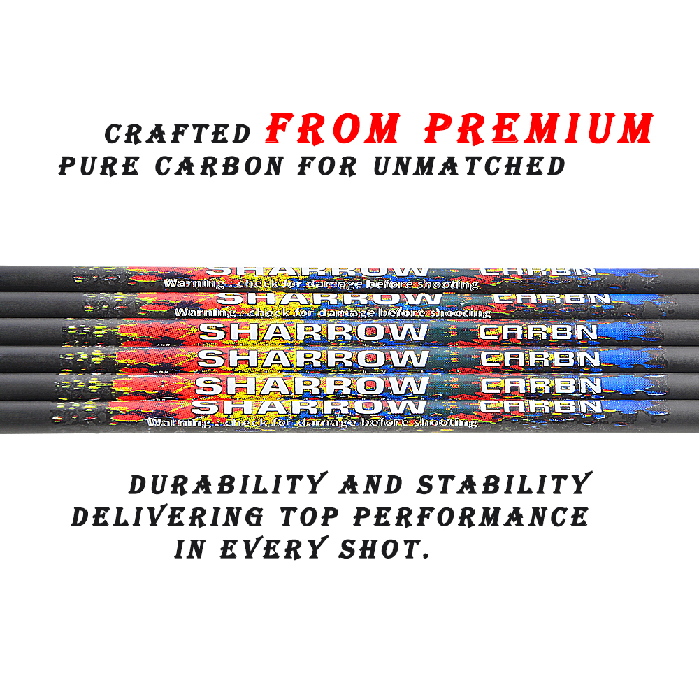 High-Quality Pure Carbon Arrows, 6/12pcs, 250-600 Spine