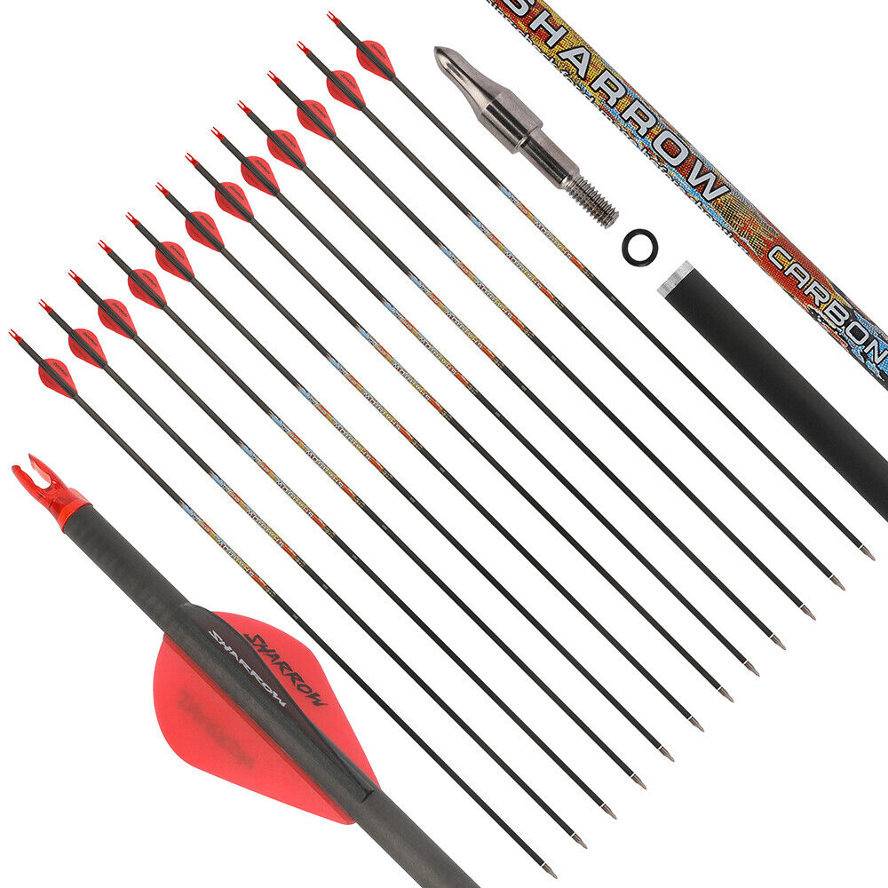 12pcs 31" Pure Carbon Arrows Archery SP250-600 Vanes Compoundbow Recurve Bow Hunting