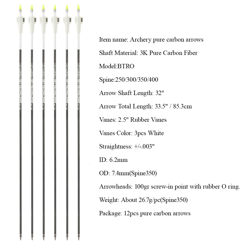 Carbon Arrows Spine 250-400 32" 100gr Screw-In Points 12-Pack
