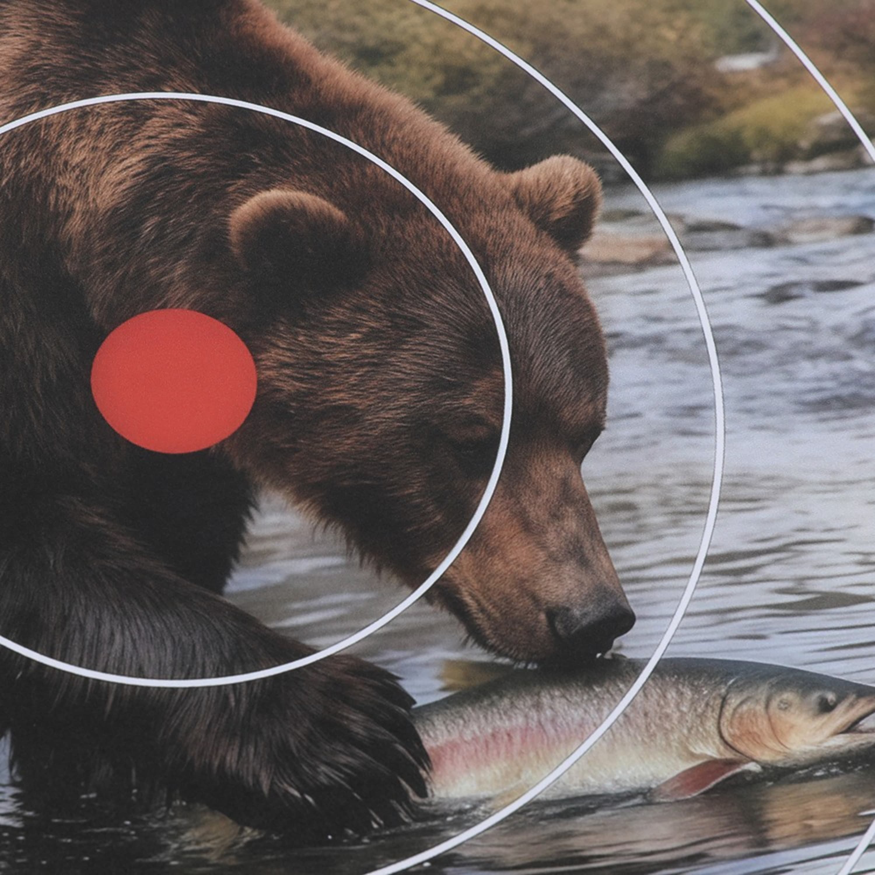 40x40cm Archery Target Paper Face Animal Arrow Bow Shooting 