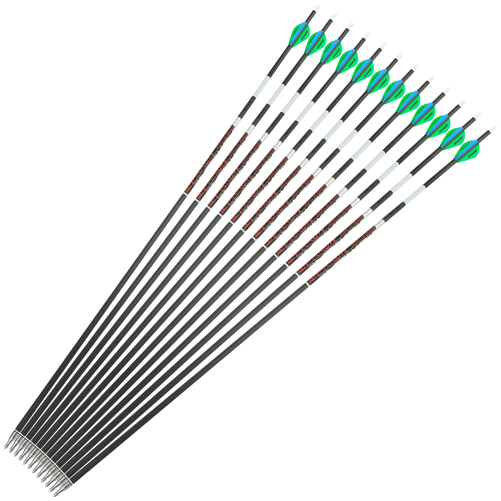 12pcs 31" Carbon Arrows SP300-600 Archery Target Hunting