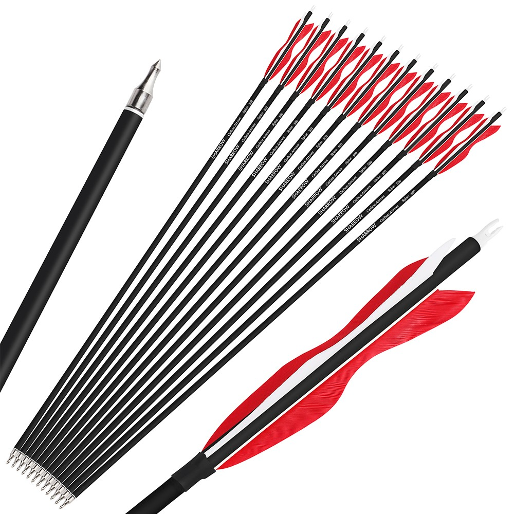 12pcs Archery Carbon Arrows 30" Spine 500 for Recurve & Compound