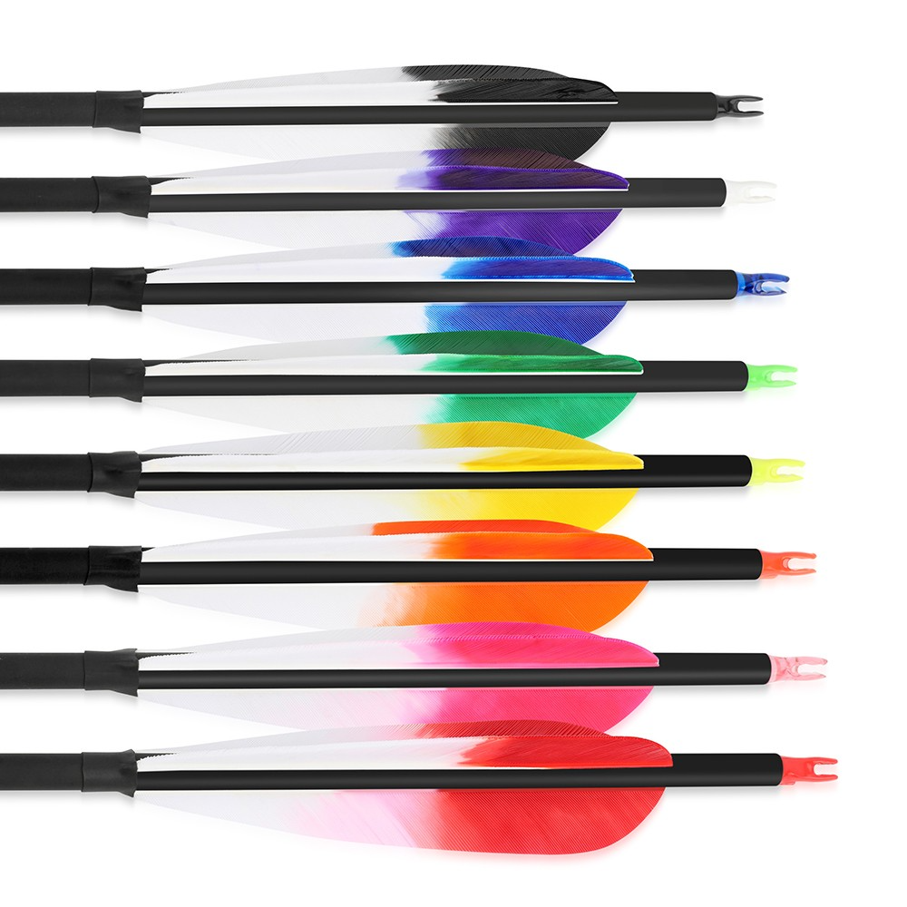6pcs Archery Carbon Arrows Spine 500 with 5" Turkey Feathers