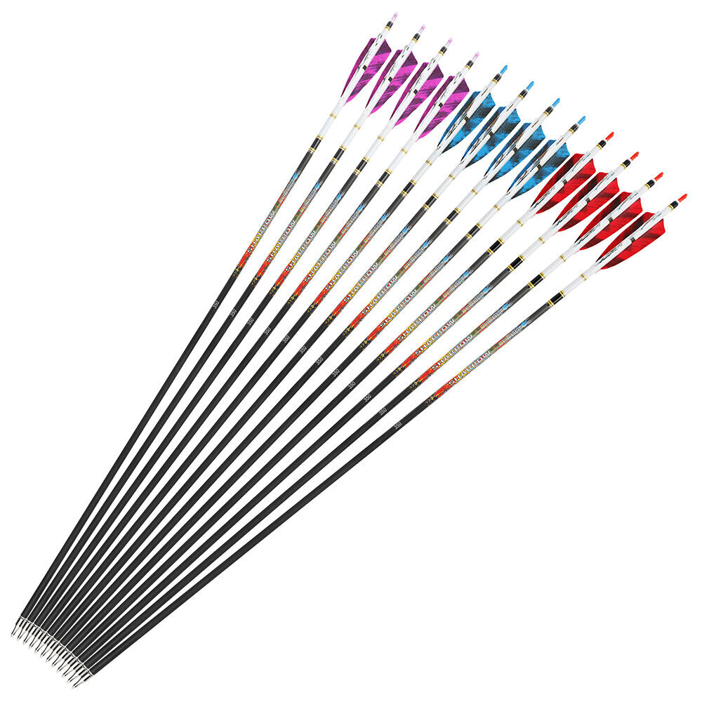 12pcs 31" Archery Pure Carbon Arrows SP250-600 4" Natural Feathers Bow Hunting Target