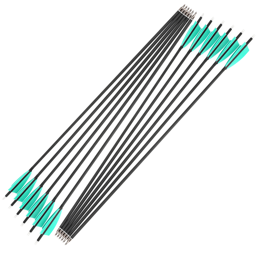 500F 30" Aqua/White Feather Carbon Arrows 12pcs 100gr