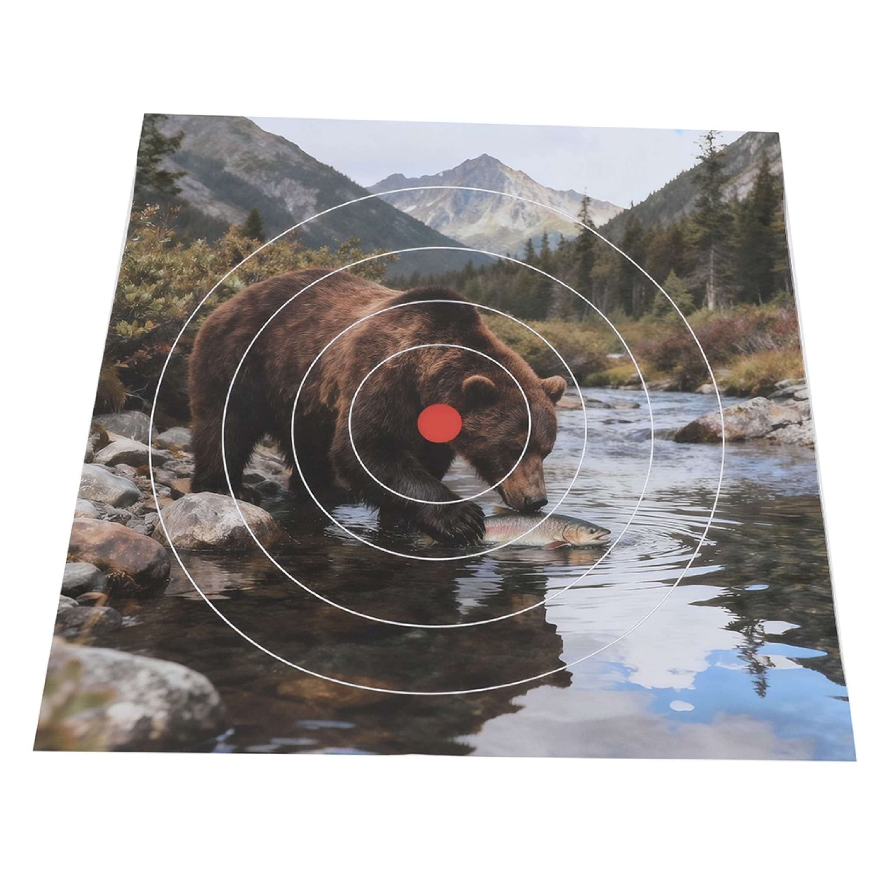 40x40cm Archery Target Paper Face Animal Arrow Bow Shooting 