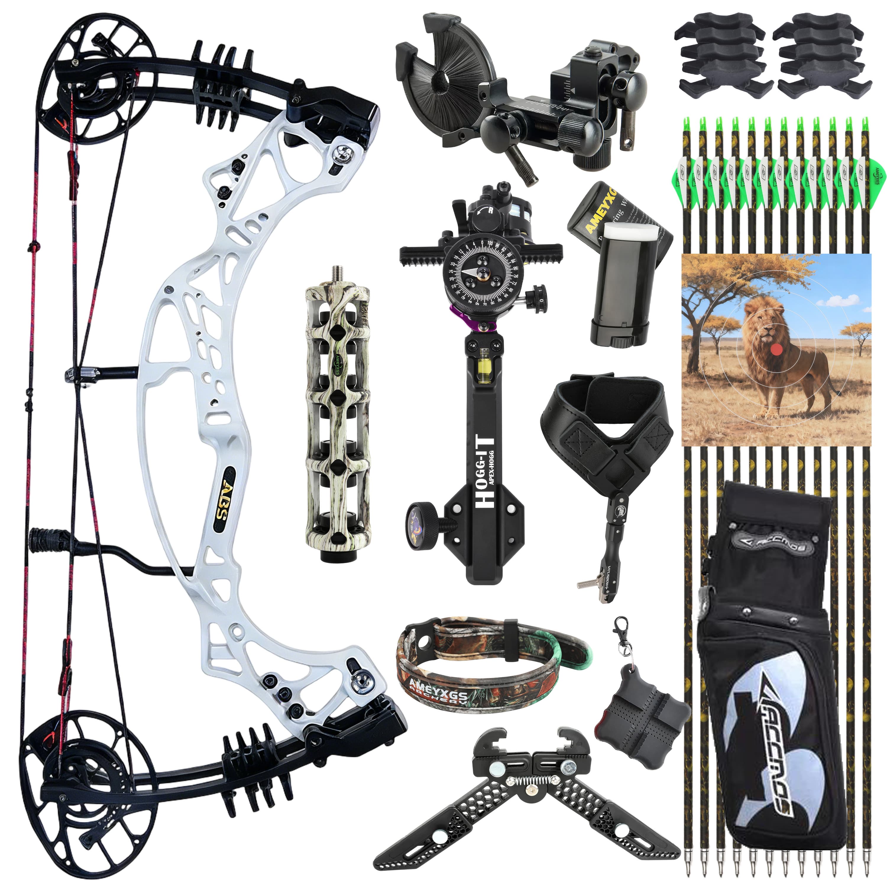 AGS Compound Bow Kit 40-70lbs Target Shooting Target Archery