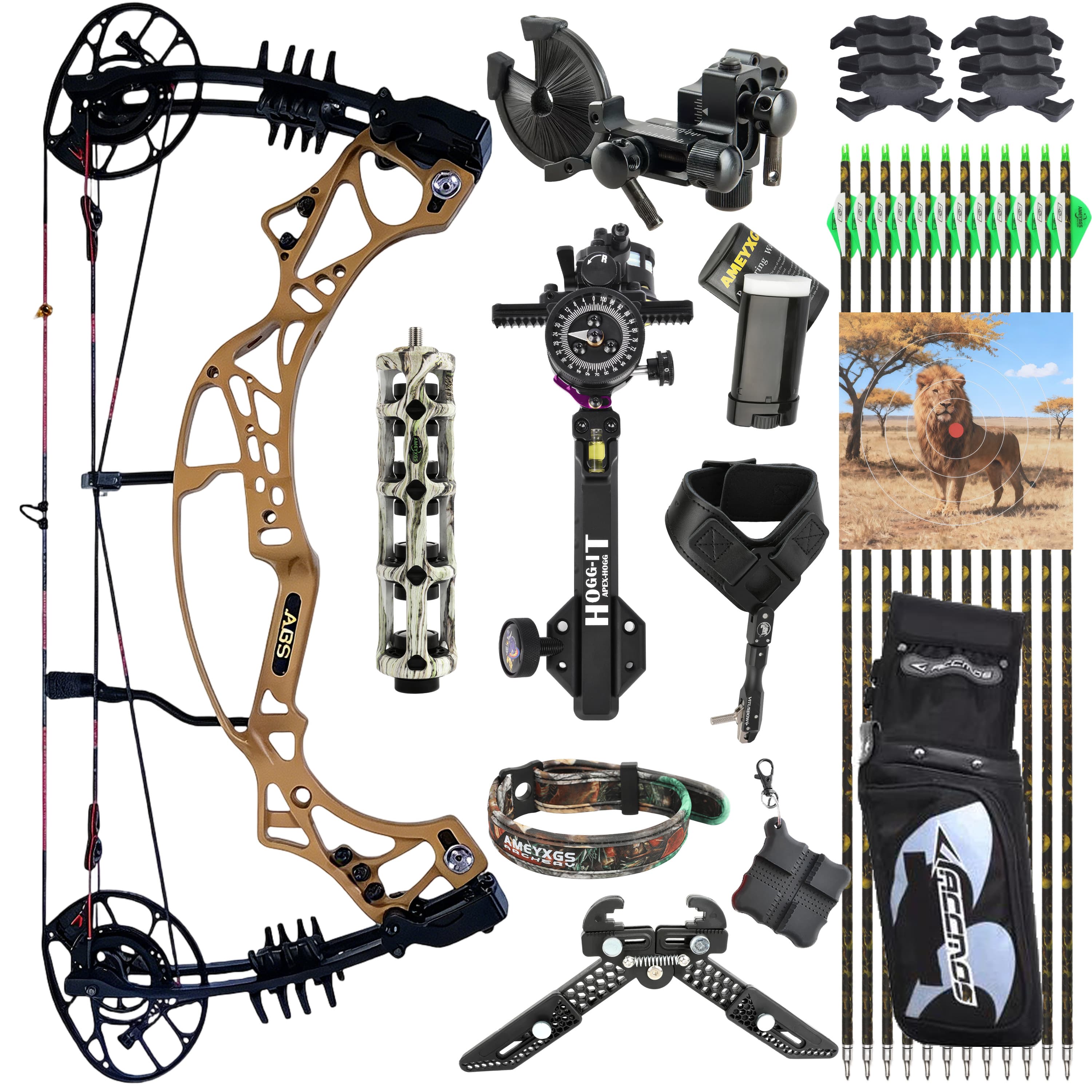 AGS Compound Bow Kit 40-70lbs Target Shooting Target Archery