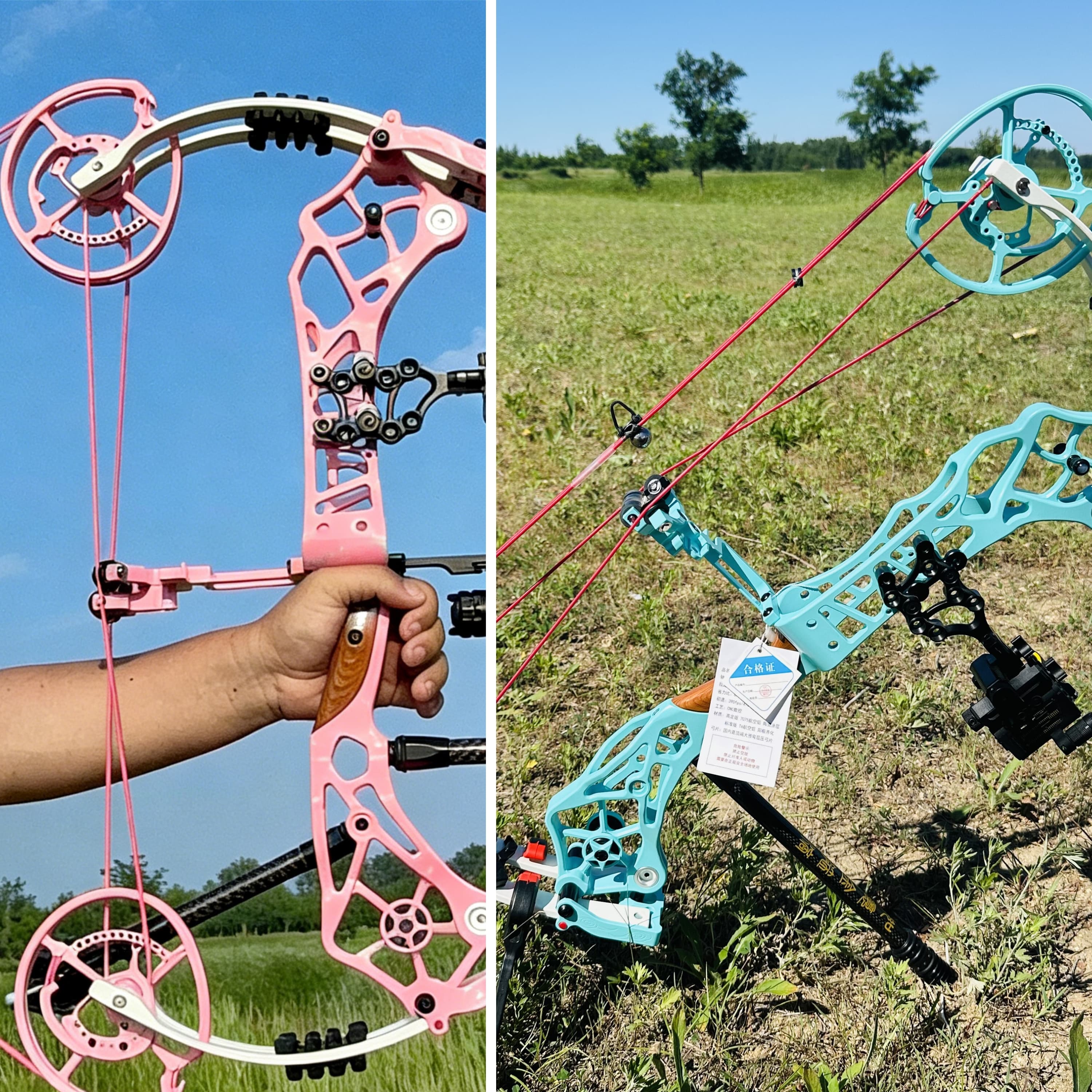 SHARROW 40-75lbs Compound Bow Kit Shooting Target Archery