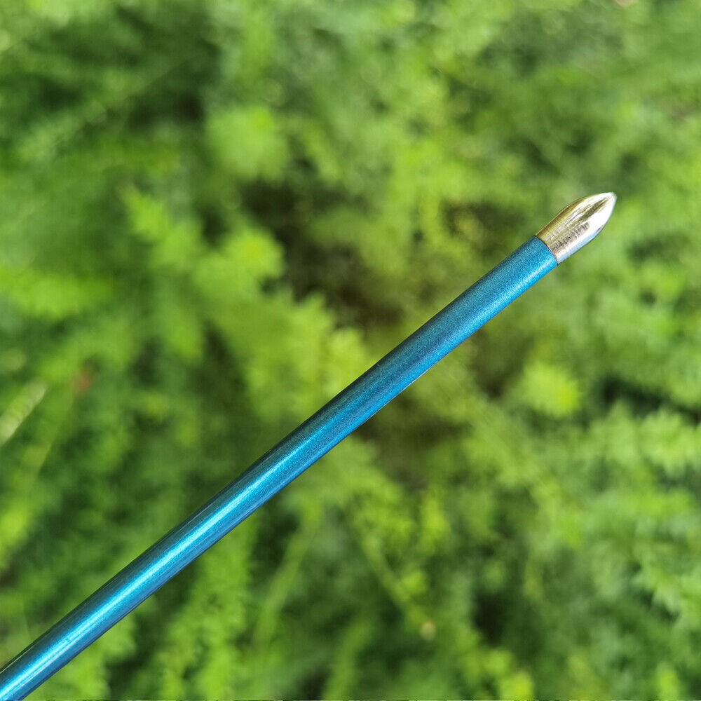 12pcs 31" Pure Carbon Arrows SP400-1000 Feathers Archery Bow id4.2mm Hunting Target Shooting