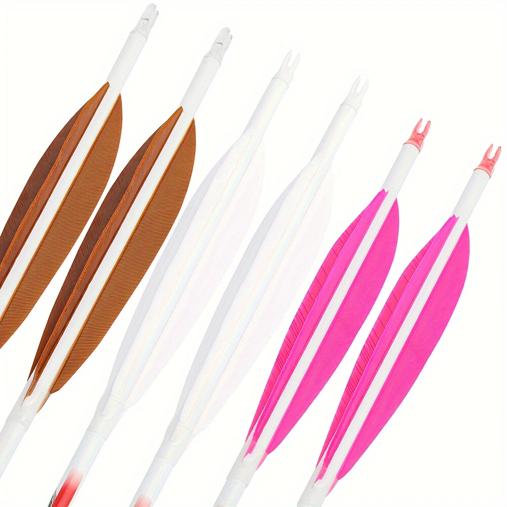  12pcs 32 Inch Pure Carbon Arrow 5 Inch Feather SP300-400 Reverse Curved Composite 