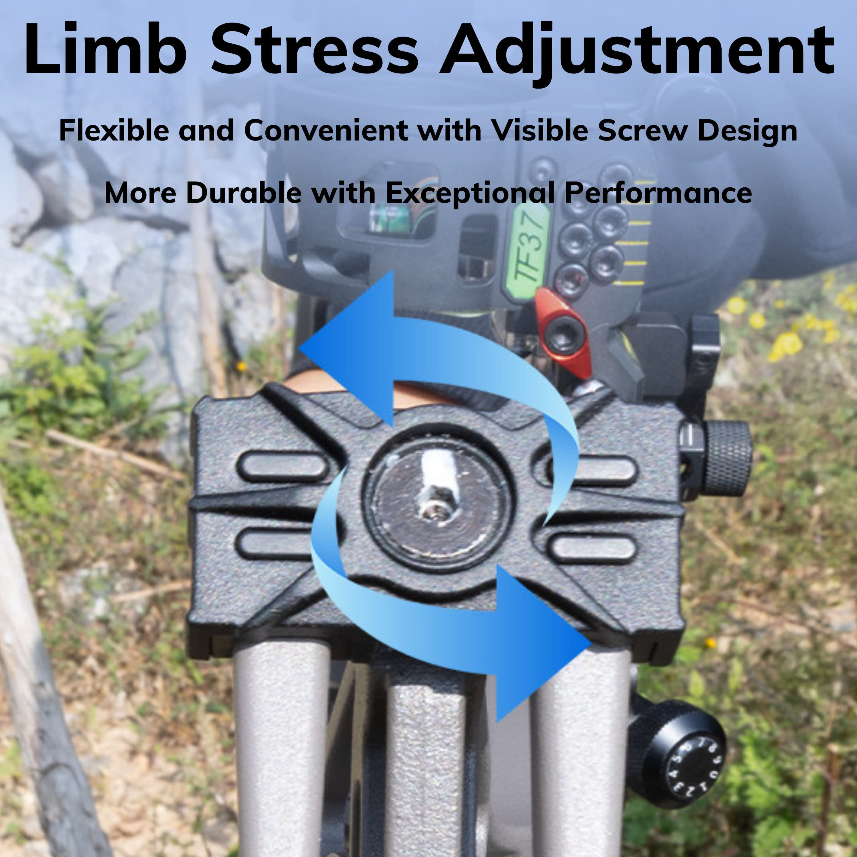 BEAR Compound Bow Kit 45-70lbs Shooting Hunting Target Archery